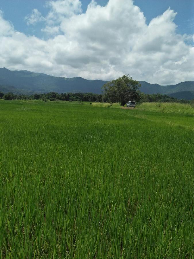 康提老城旅舍公寓 外观 照片
